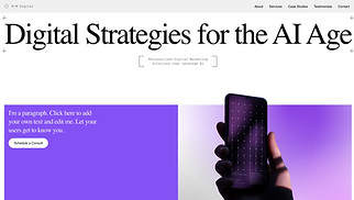 All website templates - Digital Marketing Consultant
